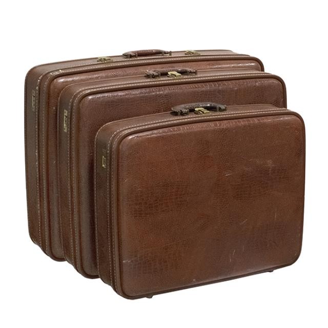 SUITCASE-Small Brown Alligator Print