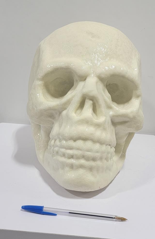 SKULL- Giant White