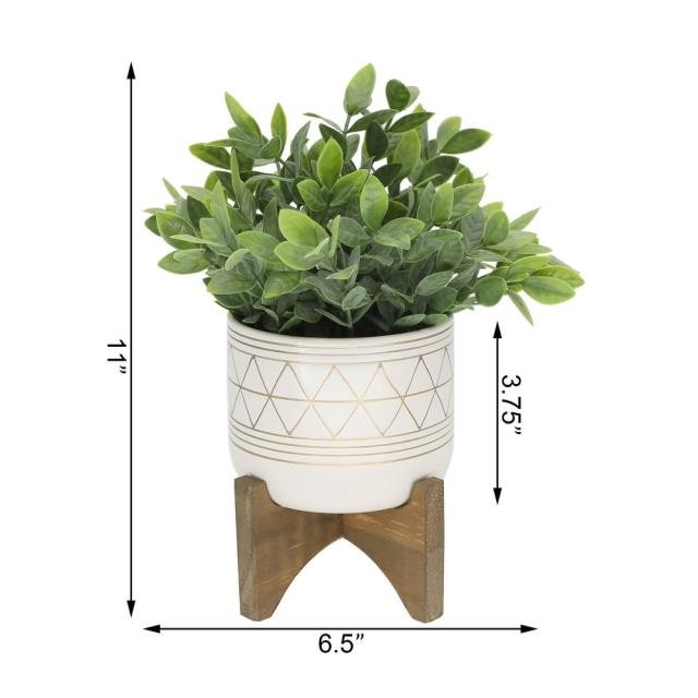 PLANT-Faux Tea Plant/Ceramic Pot