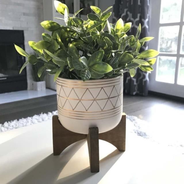 PLANT-Faux Tea Plant/Ceramic Pot