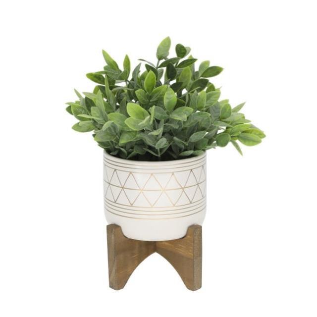 PLANT-Faux Tea Plant/Ceramic Pot