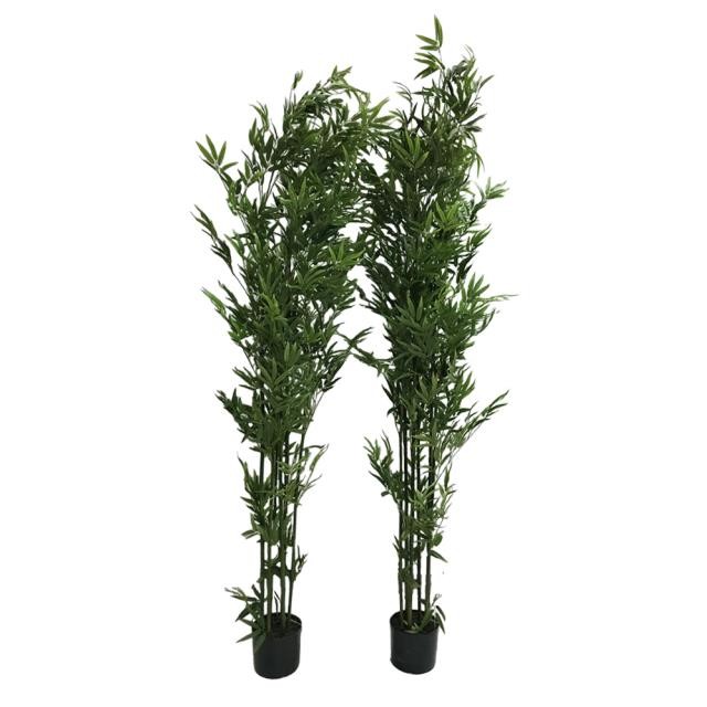 FAUX BAMBOO TREE-(6')Black Pot W/Green Trunk