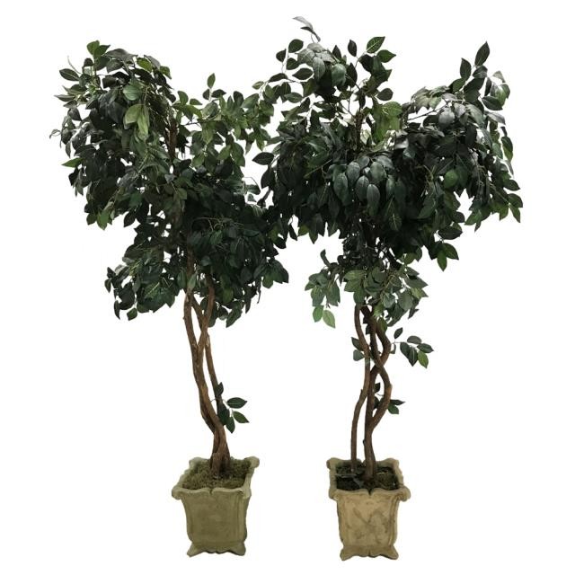 FAUX FICUS TREE-(5'5") Triple Twist Trunk W/Stone Pot