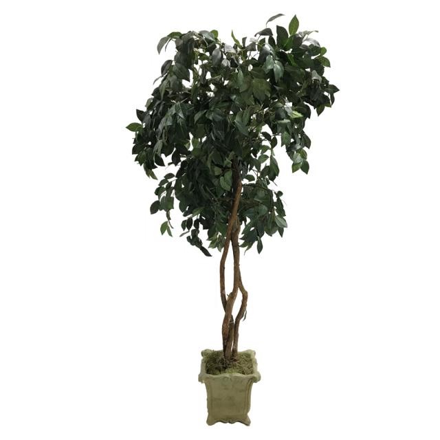 FAUX FICUS TREE-(5'5") Triple Twist Trunk W/Stone Pot