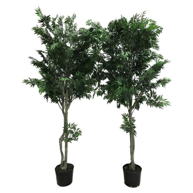 FAUX ARALIA TREE-(6'5") Black Pot