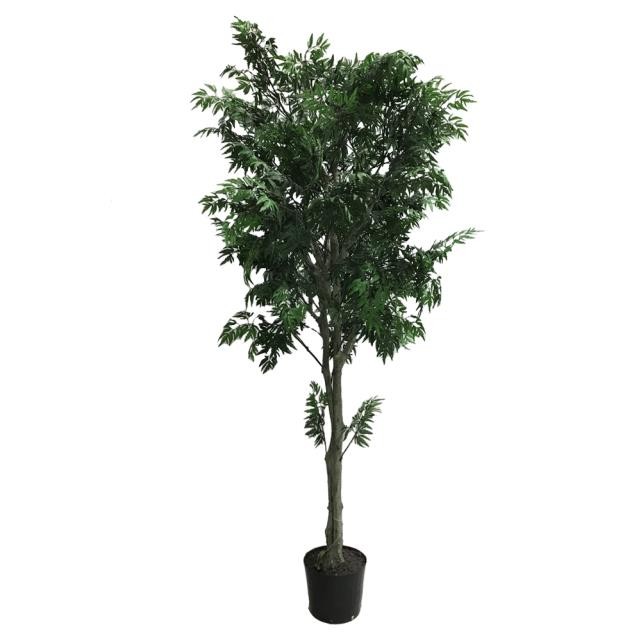 FAUX ARALIA TREE-(6'5") Black Pot