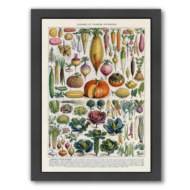 FRAMED PRINT-Legumes Et Plantes Potageres W/Black Frame