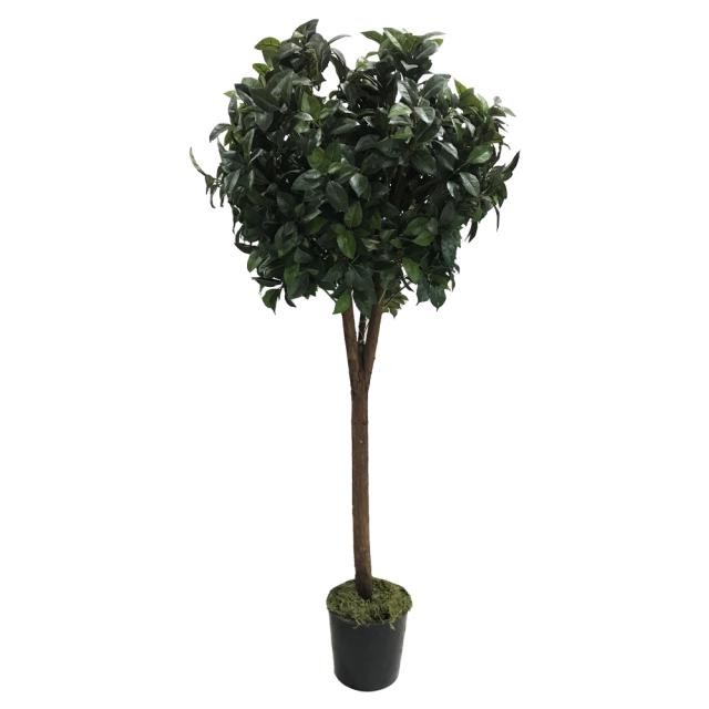 FAUX CAMELLIA TREE- (5'H)