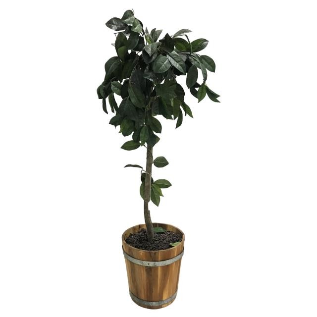 FAUX TREE-(5') Wood Slatted Pot W/Metal Bands