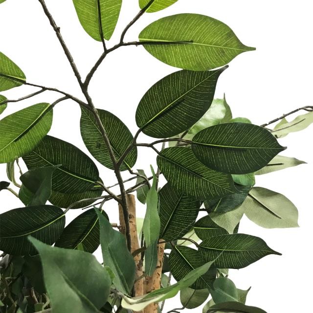 FAUX TREE-Double Trunk Ficus W/Faux Terracotta Pot