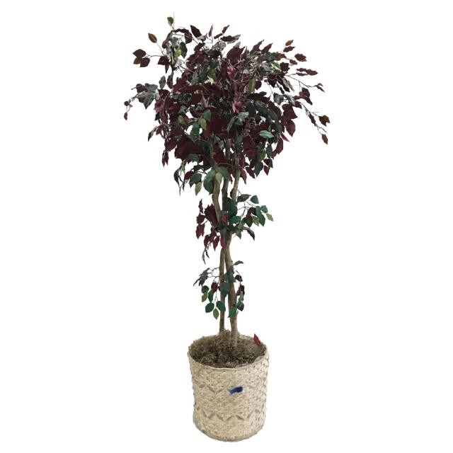 FAUX TREE-Ficus W/Red & Green Leaves In Wicker Pot