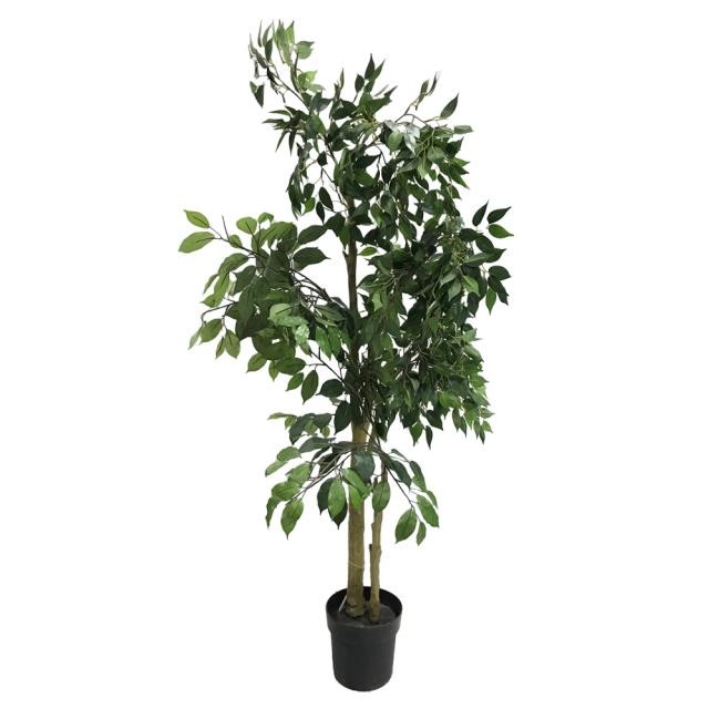 FAUX TREE-(5'5") Fichus W/Black Plastic Pot