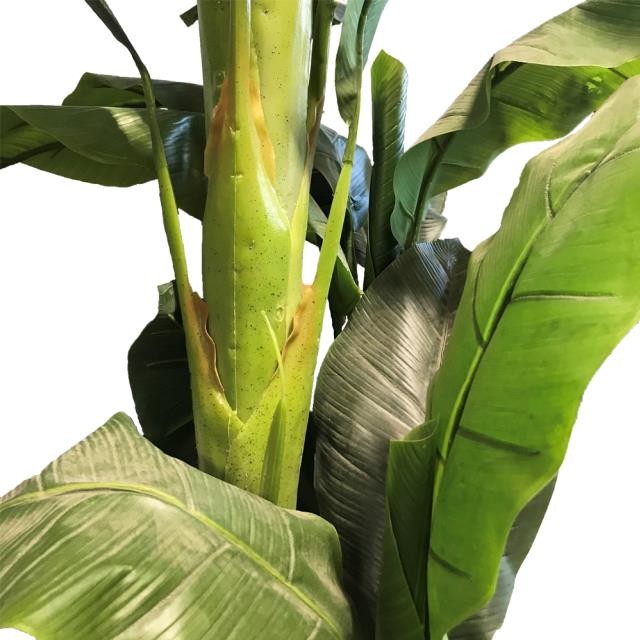 FAUX TREE-(8')Banana Tree/(3) Trunk Cluster W/Black Pot