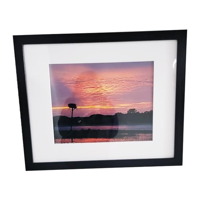 FRAMED PHOTOGRAPY-Osprey Sunset