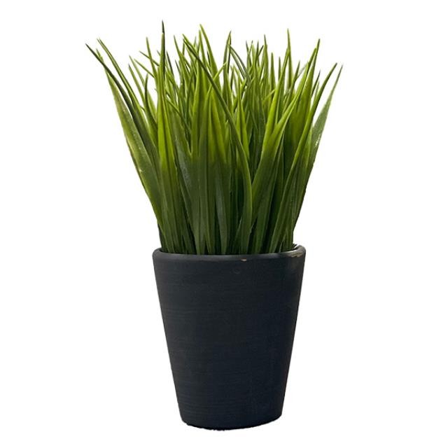 FAUX PLANT-Dracaena in Matte Black Pot