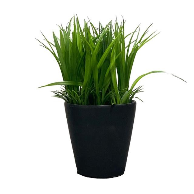 FAUX PLANT-Bright Green Dracaena in Black Pot