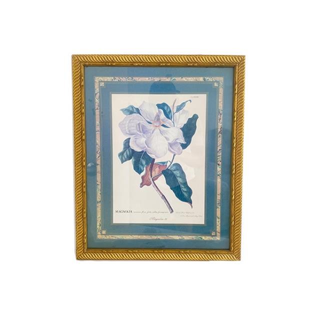 PRINT-Magnolia Flower w/Blue Boarder