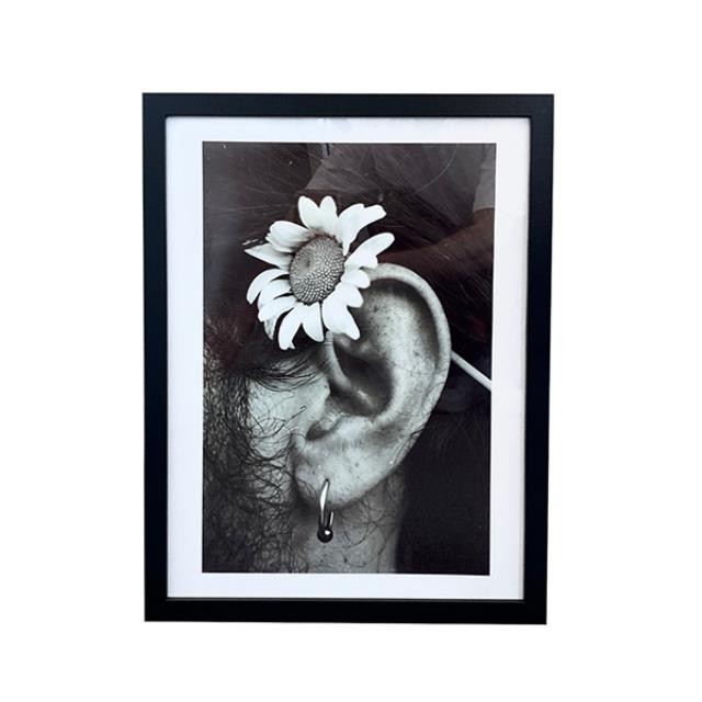 (HDEW0103)FRAMED PHOTOGRAPHY-Blk/Wht Photo-Daisy on Ear