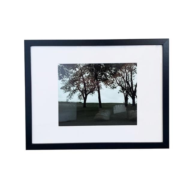 (HDEW0106)FRAMED PHOTOGRAPHY-Blk/Wht Photo-Landscape w|Hammock in Corner