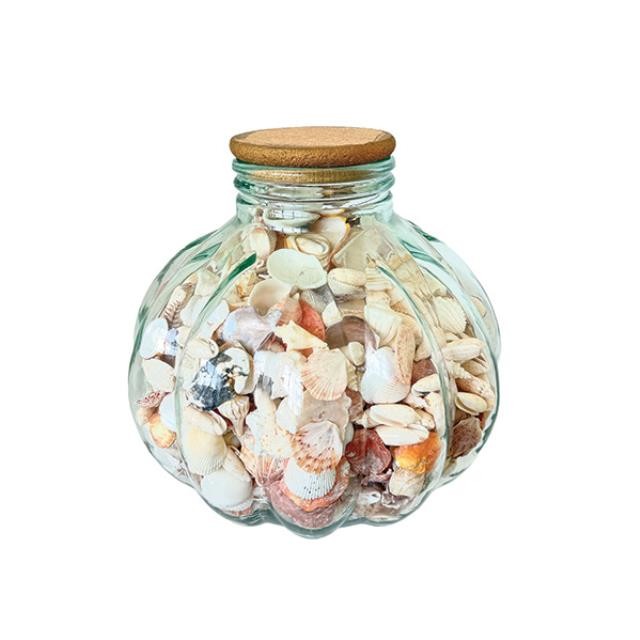 (52571074)VASE-Large Glass Scalloped w|Cork Top & Multi-Colored Seashells Inside