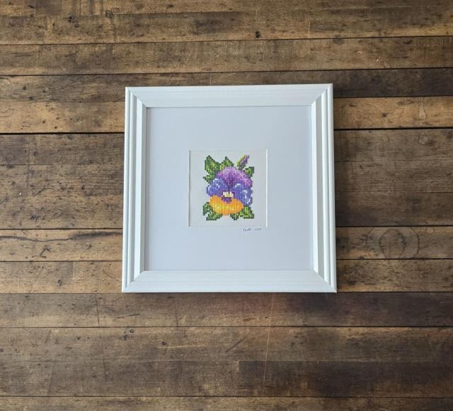 (8521PJ64)Pansy in White Museum Frame