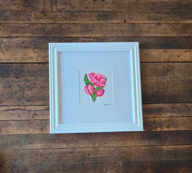 (8521PJ6&)Pink Tulip |White Museum Frame