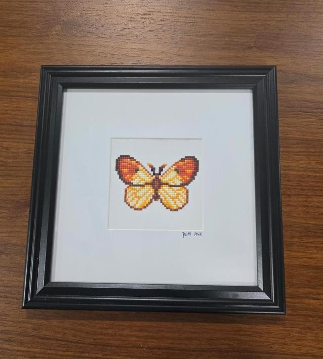 (8521PJ69) Butterfly |Anthocharis Cardamines