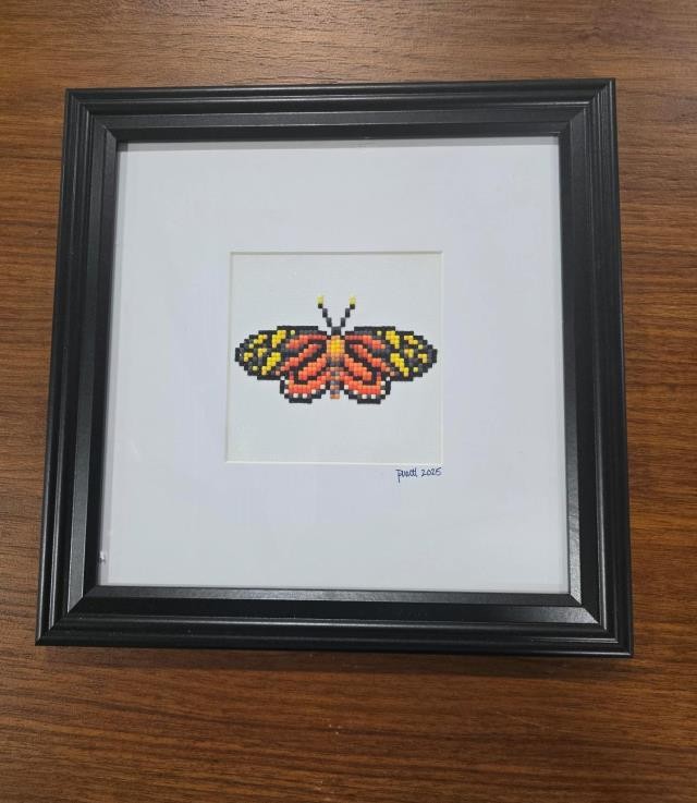 (8521PJ70)Butterfly |Tiger Mimic Queen