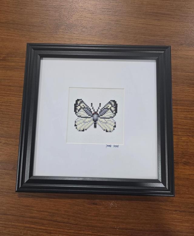 (8521PJ71)Butterfly | Chiricahua White