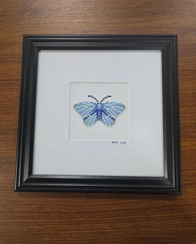 (8521PJ72)Butterfly | Blue Copper