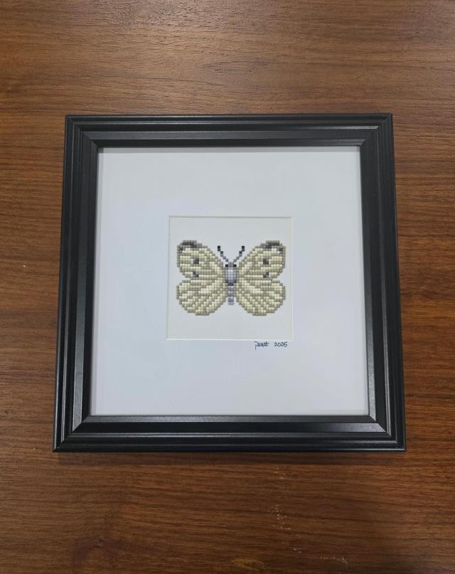 (8521PJ73) Butterfly |Pieris Rapae