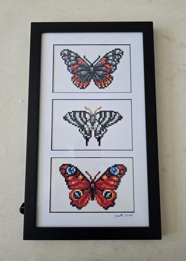 (8521PJ78) Butterfly Trio | Black Frame