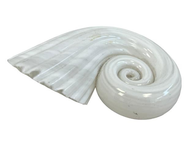 PAPERWEIGHT-Glass Spiral Shell